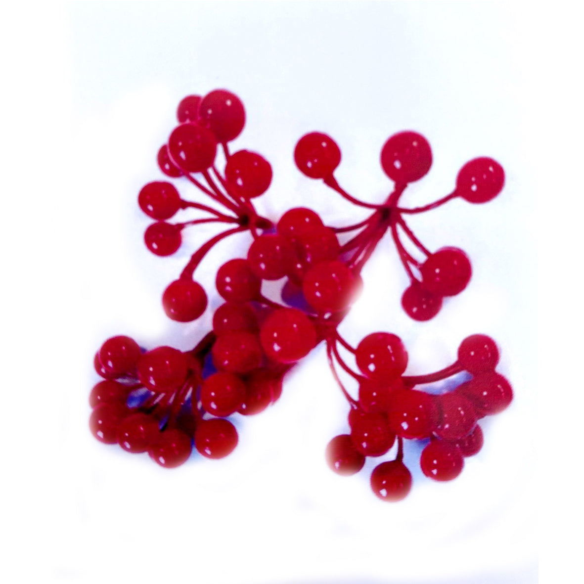 Cherry Pequeña