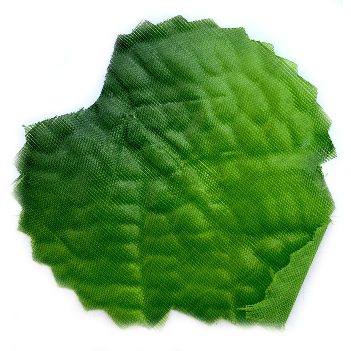 Enredadera Hoja Palma 2.5 Mts Verde