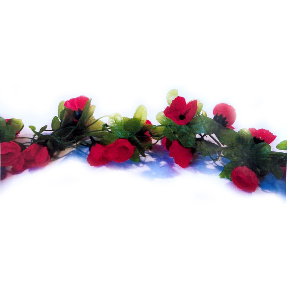 Enredadera Rosa 2,4Mts