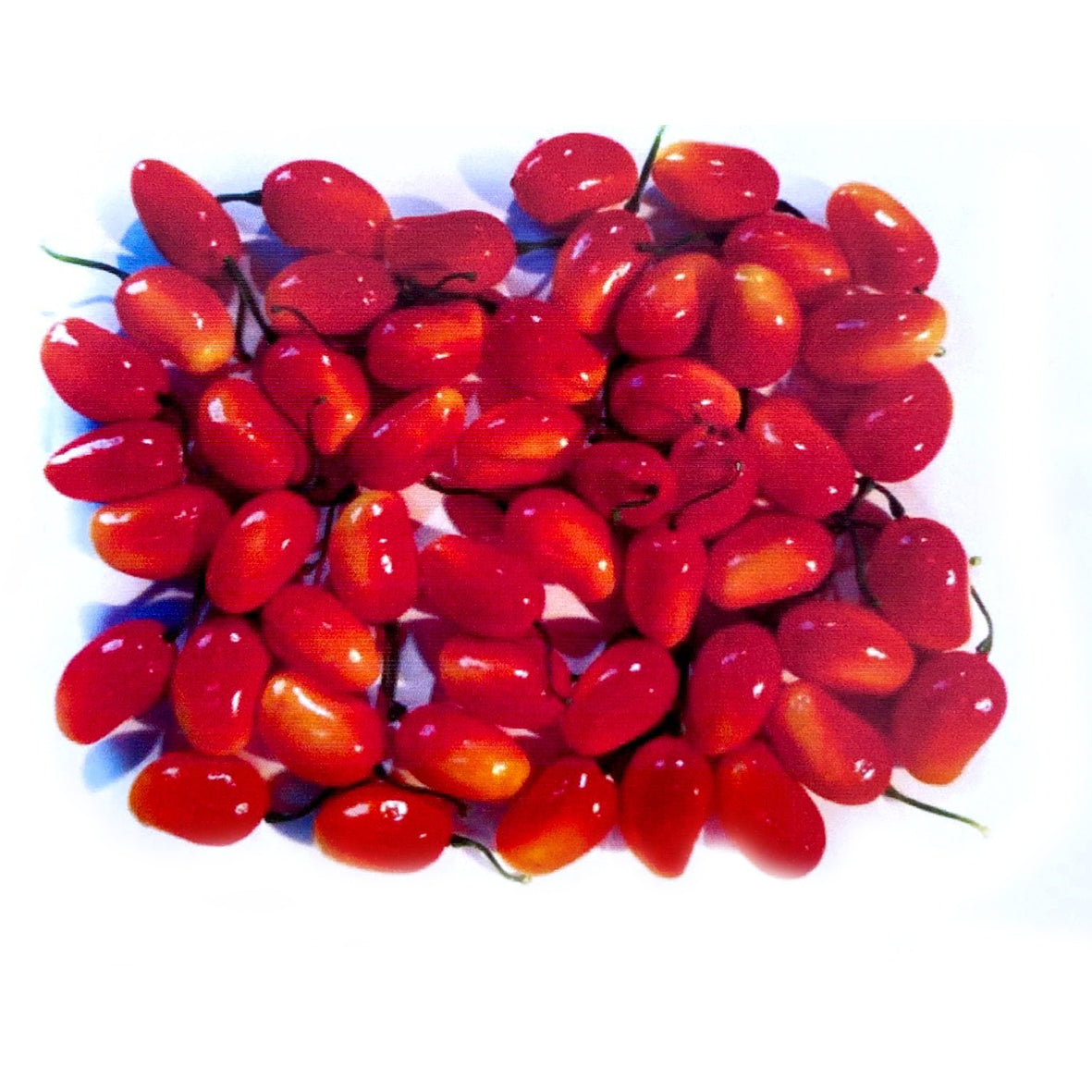 Fruta Bolsa X 50 Unid