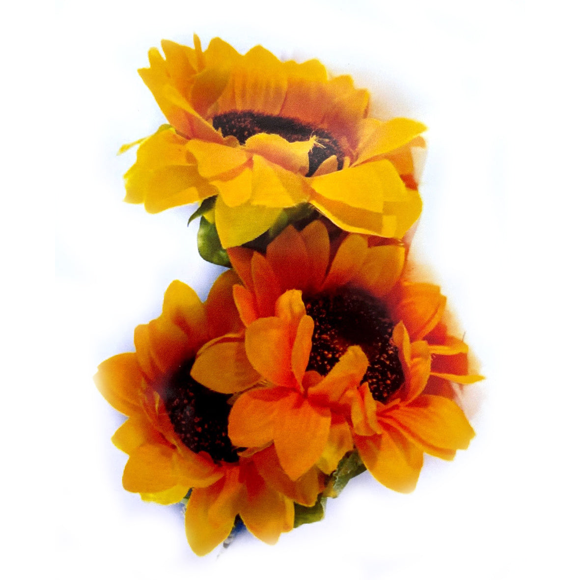 Vara Girasol Fino X 3
