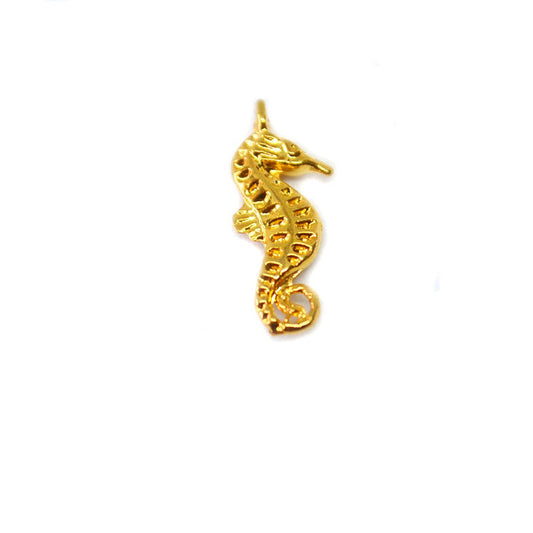 Caballito de Mar 24k