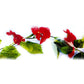 Enredadera Flor 2.1 Mts