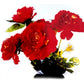 Follaje Y Flor X 5