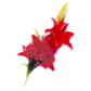 Vara Calla Lily X 5
